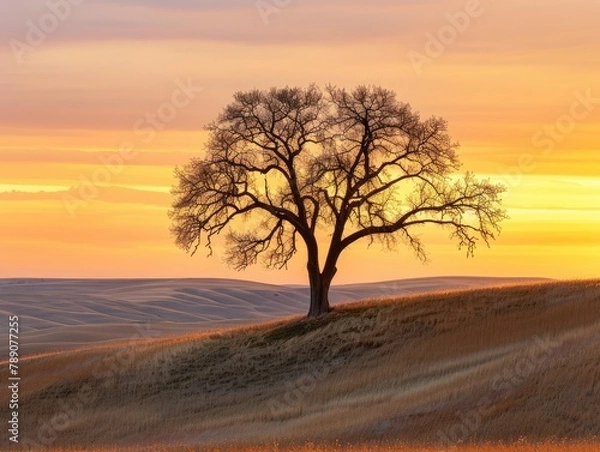 Obraz Sentinel of the Hills: Guardians of Nature's Majesty