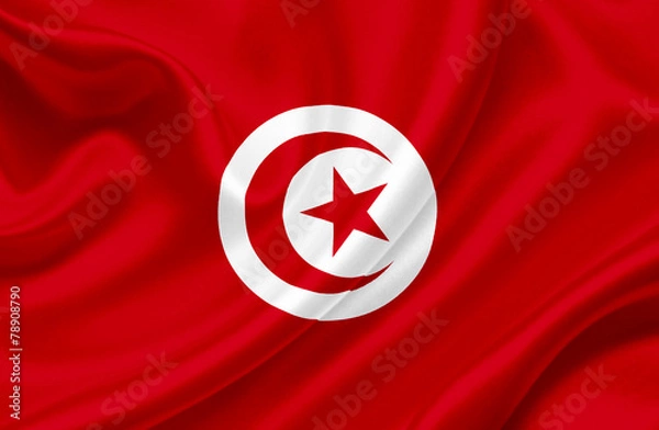 Obraz Tunisia waving flag