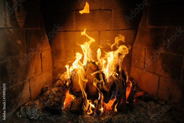 Obraz fire in fireplace and flames dance