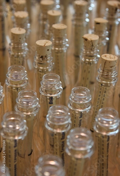 Obraz Messages in Bottles