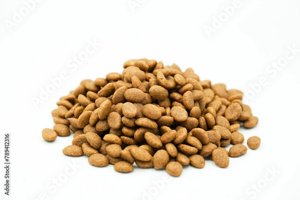 Obraz Close up of dry pet food on white background.