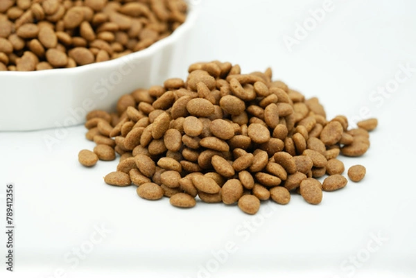 Obraz Close up of dry pet food on white background. Selective focus concept.