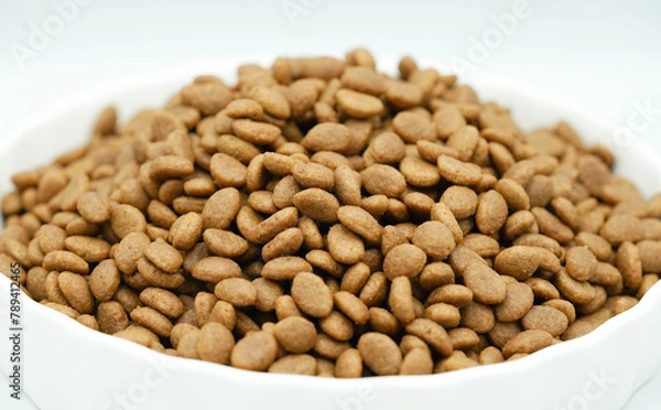 Obraz Close up of dry pet food in a white bowl, dog and cat food background. Selective focus concept.