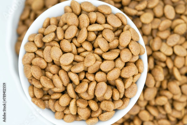 Obraz Top view of dry pet food in a white bowl, dog and cat food background.