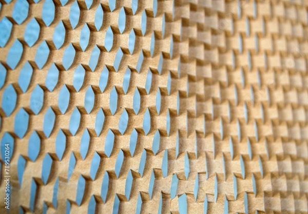 Obraz paper texture, background, abstraction, mesh,