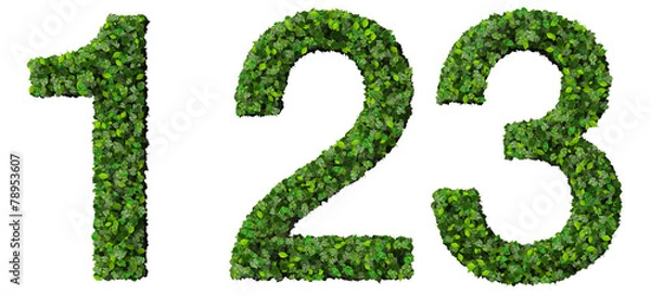 Obraz 1 2 3 number made from green leaves isolated on background.