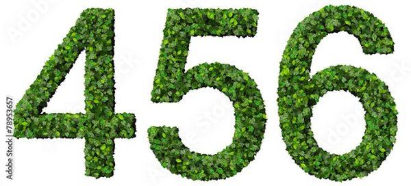 Obraz 4 5 6 number made from green leaves isolated on background.