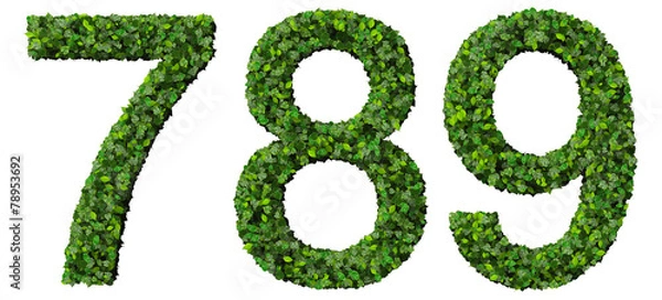 Obraz 7 8 9 number made from green leaves isolated on background.