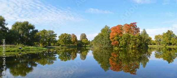 Fototapeta Осенний пейзаж с прудом в Луговом парке.Петергоф.