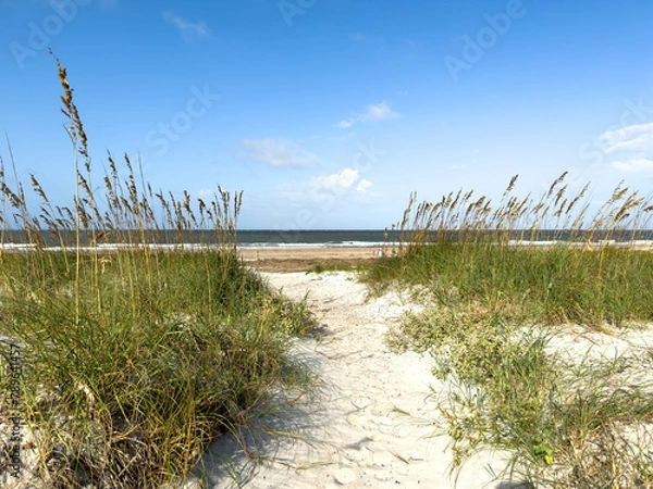 Obraz The shore of the Atlantic Ocean at Fort Clinch State Park in Florida