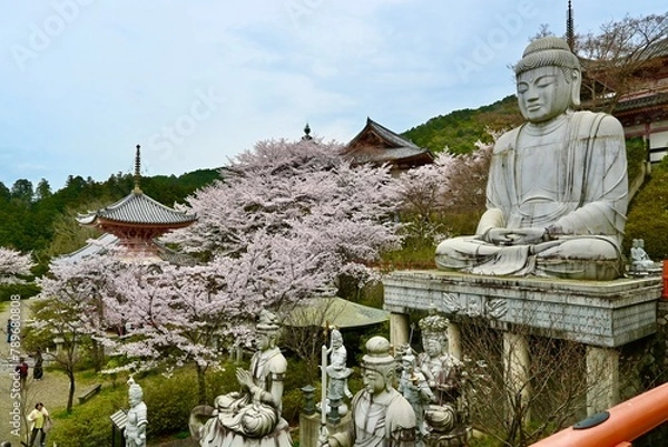 Obraz 壺坂寺の桜