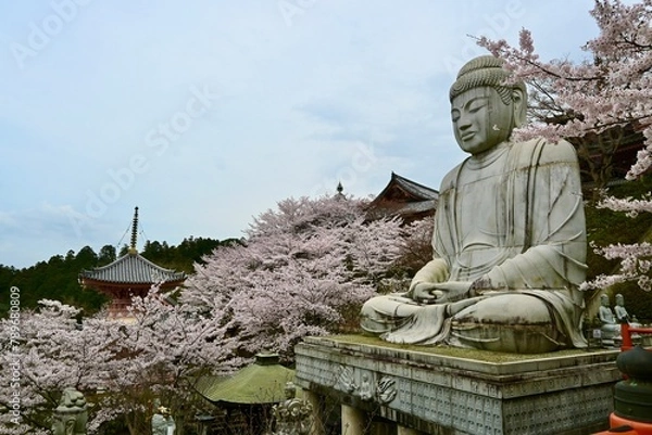 Obraz 壺坂寺の桜