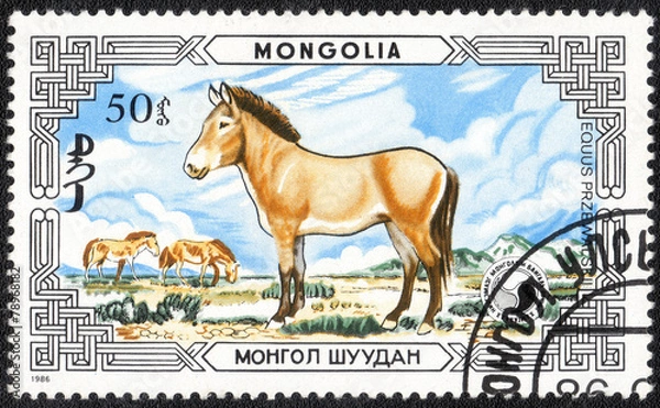 Fototapeta MONGOLIA - CIRCA 1986: