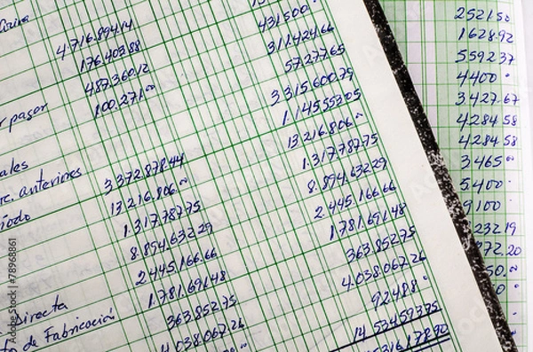 Obraz Handwritten accounting