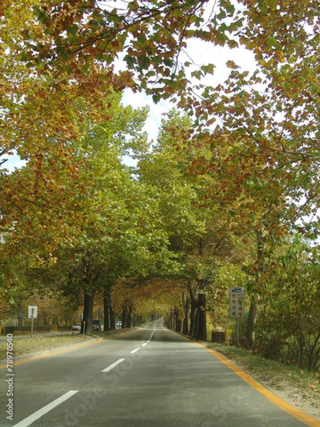 Obraz 동양이미지