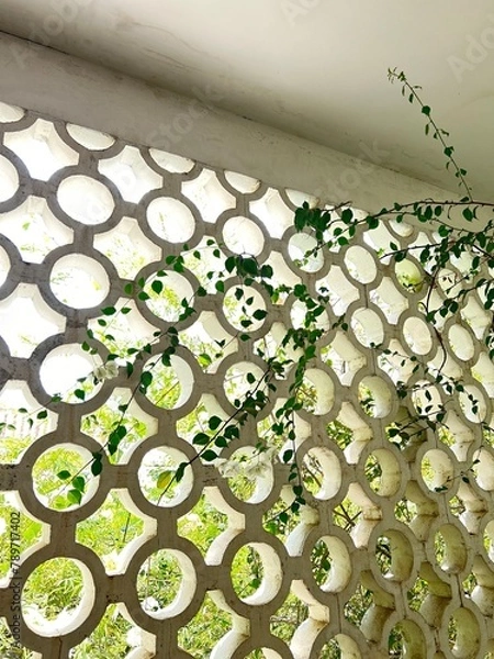 Fototapeta wall with pattern and greenery - travel texture in Cambodia