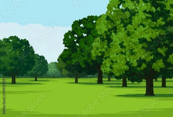 Obraz 公園の木々1
