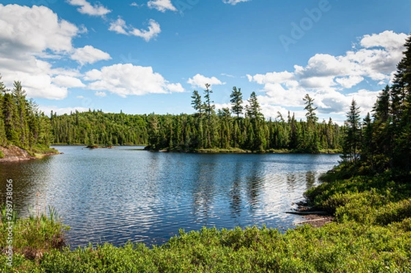 Obraz Tranquil blue waters of Lake Gabbro in Quebec reflect the clear sky, bordered by dense coniferous forests that whisper the spirit of the wilderness.