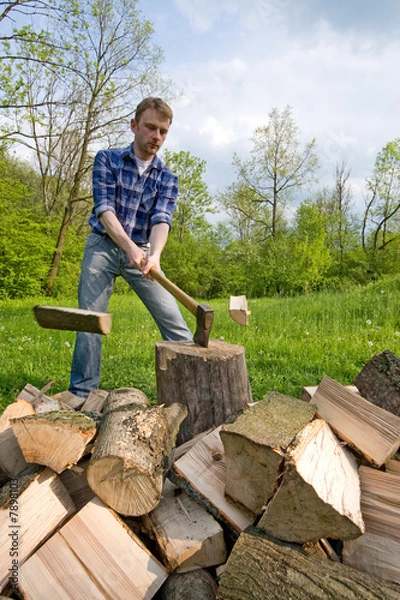 Obraz Cutting wood