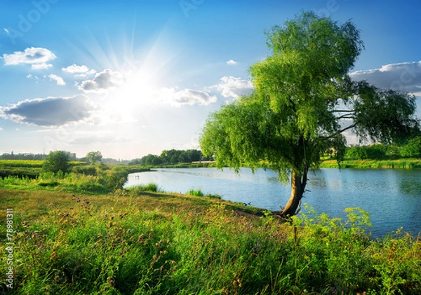 Obraz W pobliżu rzeki