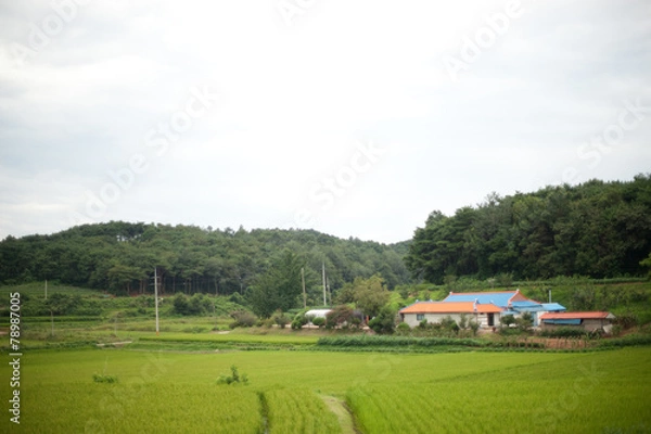 Obraz 농촌이미지