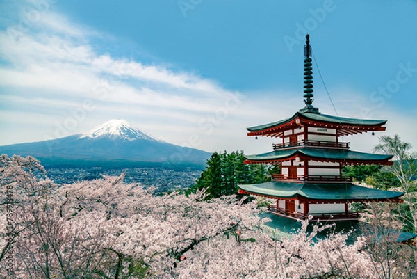 Obraz 青空と富士山を背景にした満開の桜の花と赤い五重の塔。日本の観光イメージ