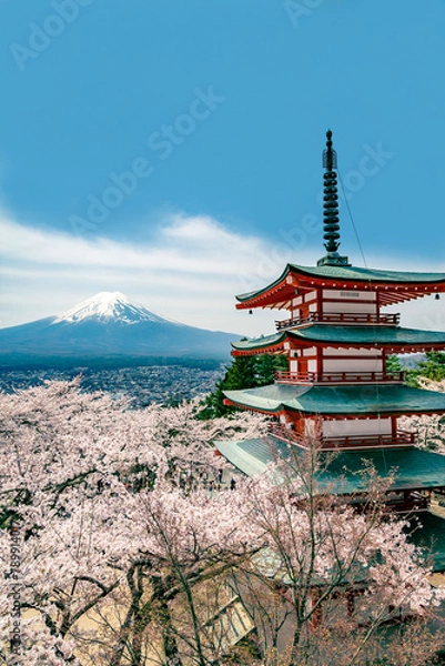 Obraz 青空と富士山を背景にした満開の桜の花と赤い五重の塔。日本の観光イメージ