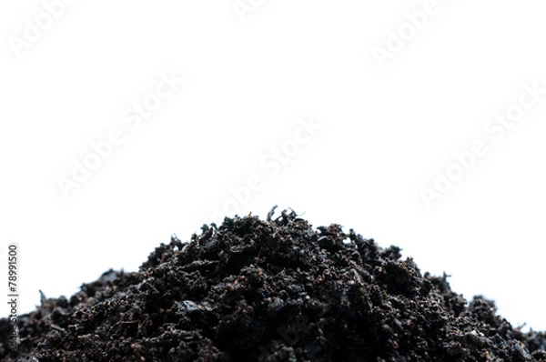 Fototapeta Terra Preta