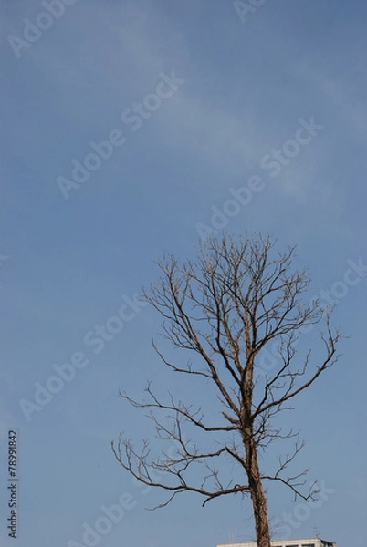 Fototapeta 풍경이미지