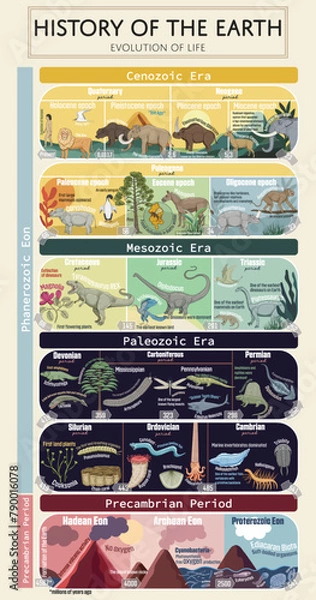 Fototapeta History of The Earth- Evolution of life colorful educational poster. The journey from the formation of Earth to the 'Cambrian Explosion', the rise of dinosaurs, the evolution of early mammals