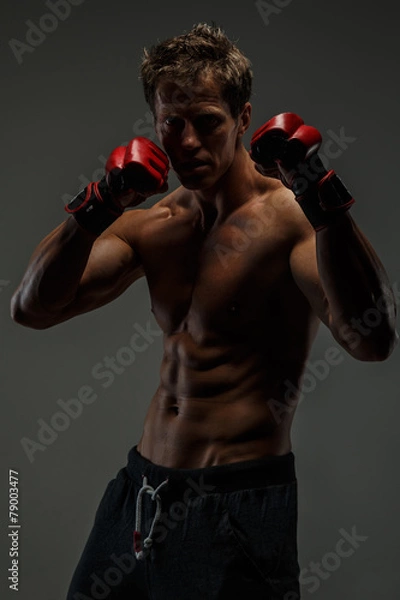 Fototapeta Boxer posing in studio.