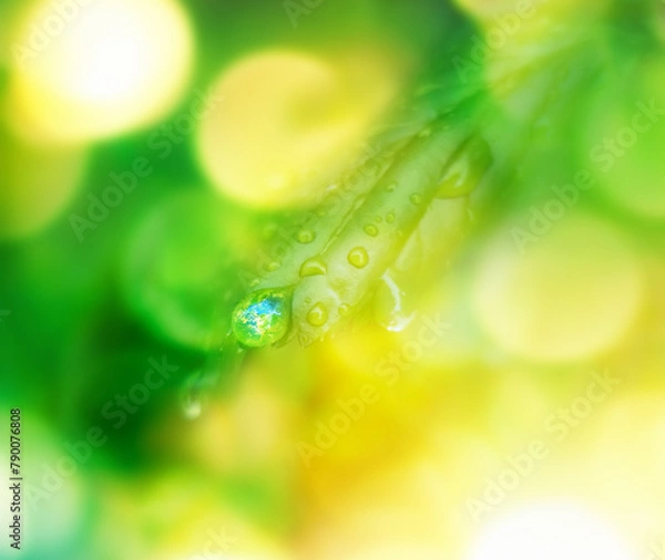 Obraz Earth in water drop