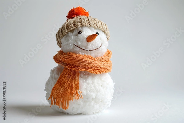 Obraz snowman isolated on solid color background