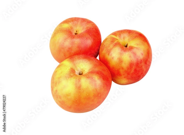 Obraz 음식이미지