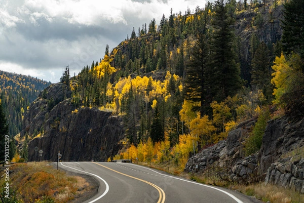 Fototapeta Fall color along a winding road
