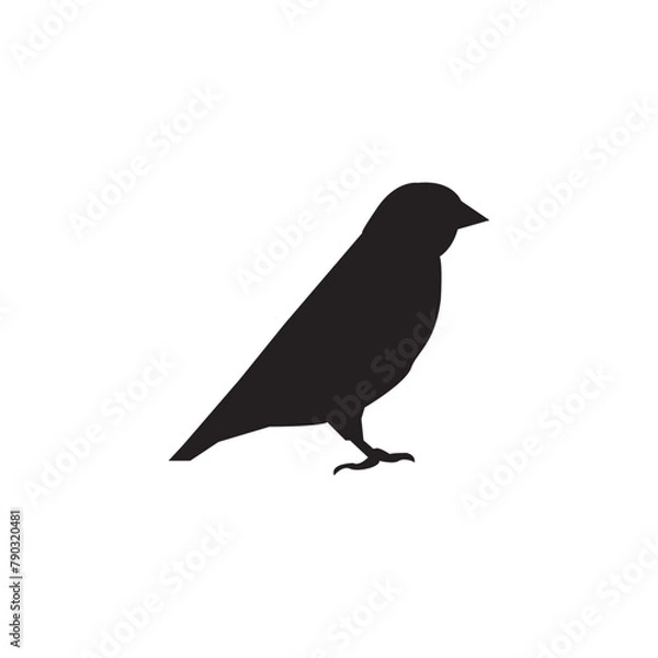 Fototapeta bird pipit silhouette good for elemnt design and grapic to coloring sketch