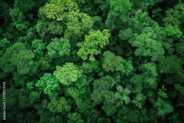 Obraz A vibrant and dense forest showcasing a multitude of green trees, creating a breathtaking natural landscape, Dense green Amazon rainforest seen from above, AI Generated