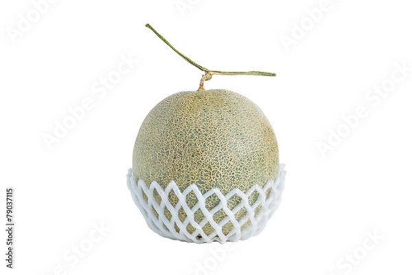Obraz Net foam  wrap Melon on white background