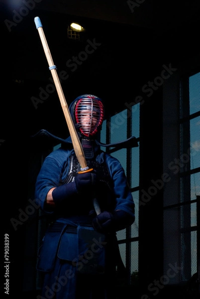 Obraz Kendo fighter