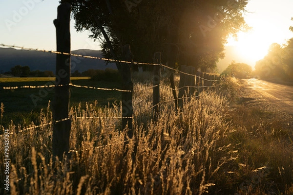 Fototapeta sunset along a barbed wire fence and a road