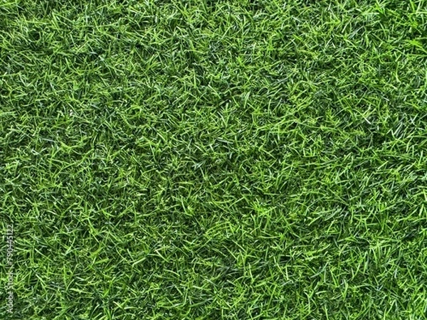 Obraz 一面の人工芝