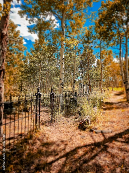 Obraz Path through the graveyard in autumn