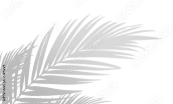 Fototapeta Shadow overlay effect, light overlay