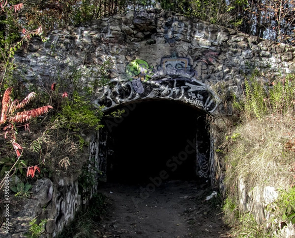 Obraz Discontinued train tunnel