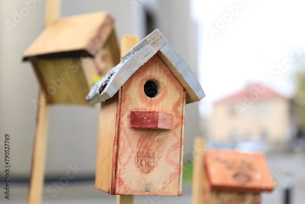 Obraz bird house