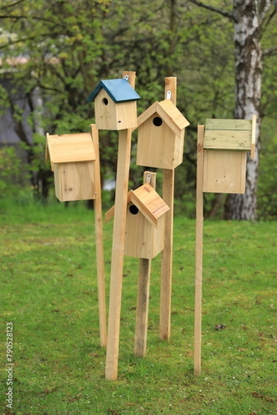 Obraz bird house