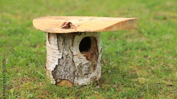 Obraz bird house