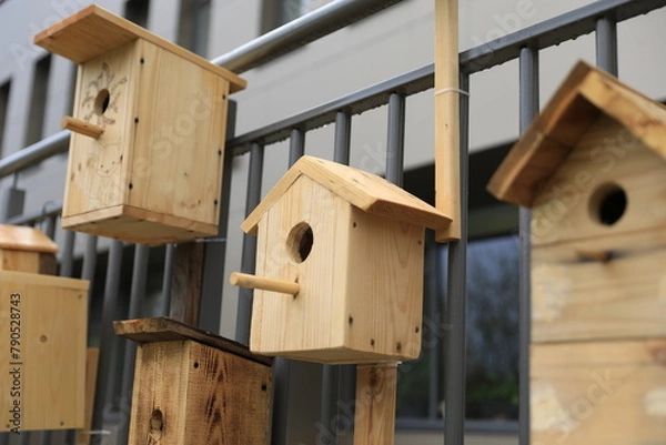 Obraz bird house