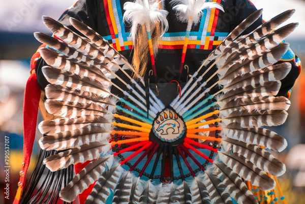 Obraz Native American Costume