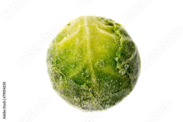 Obraz Pojedynczy mrożony kieł